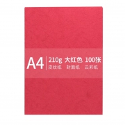 传美 A4云彩纸 封页纸 皮纹纸210g硬卡纸（大红色）100张/包