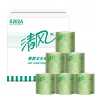 清风B202A 卷筒纸 双层圆点压花 250段 10卷/提 100卷整件