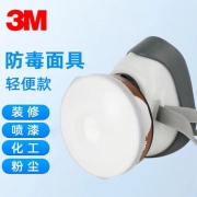 3M 1201尘毒防护面罩五件套