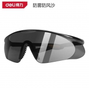 防护眼镜（防雾防风沙）得力工具DL522015黑色